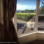 Cricket View *